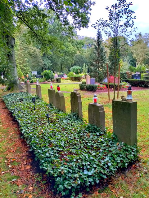 polskie groby w Marienwerder